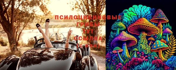 ешки Алексеевка